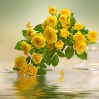 Жёлтые розы :: Светлана Л.