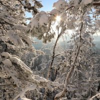 Снежность 2 :: Мария Кухта