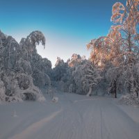Снежное царство :: vladimir Bormotov