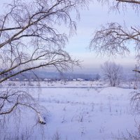 Деревня в сиреневом сиропе вечера :: Наталия Григорьева