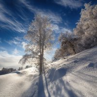 Склон. :: Виктор Гришенков