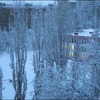 Зимний вечер :: Самохвалова Зинаида 