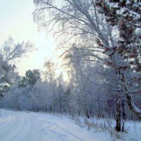Зима в окресностях Иркутска :: alemigun 