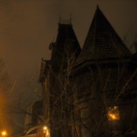 Ночной дом-замок из дерева в Чернигове :: Денис Бугров 
