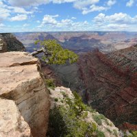 Grand Canyon National Park. :: Галина 