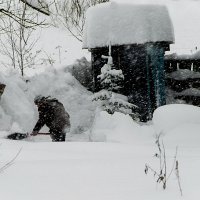 Замело! :: Андрей Жданов