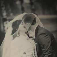 Свадьба Ольги и Кирилла :: Андрей Молчанов