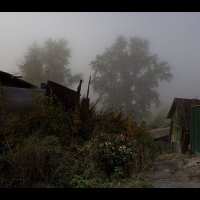 Туман :: Nn semonov_nn