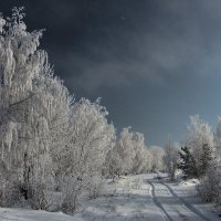 По снежной дороге в морозную даль,скорей от всего городского... :: Александр Попов