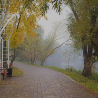 Туман и осень :: Светлана З