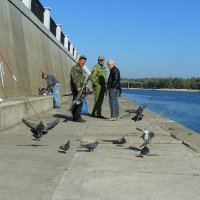 рыбаки и их соседи-голуби (каша от прикорма остается...) :: Александр Прокудин