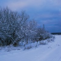 По дороге снежным днем...2015 :: Артём Бояринцев