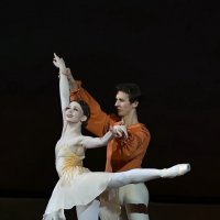 Звезды мирового балета :: Светлана Яковлева