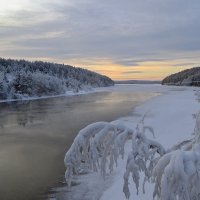 В снегах Заполярья :: Ольга 