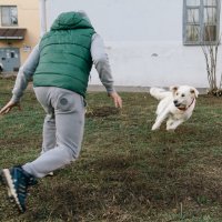 Playing with a dog :: Николай Н