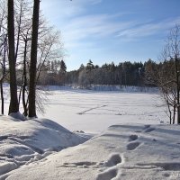 Прозрачное небо зимы :: Лидия (naum.lidiya)