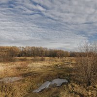 Самая поздняя осень... :: Фёдор Куракин