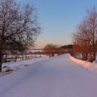 Мороз и солнце... :: Ольга 