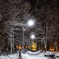 Зимняя ночная алея :: Александр Мантров