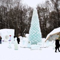 Ёлка в снежном городке :: Владимир Болдырев