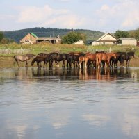 Юрюзань :: Антонина 