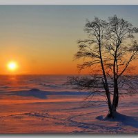 Стужа :: Николай Танаев