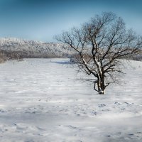 *** :: Константин Филякин