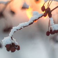 Зимние зарисовки :: Сергей Брагин