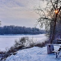 Морозный  день. :: Валера39 Василевский.