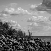 Каменный остров :: Евгения Кирильченко