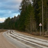 Деревенский час пик :: Андрей Куприянов