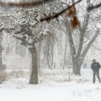 Первый снег 2016 :: Сергей Волков