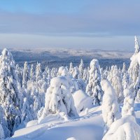 В Каменном городе :: Иван Рочев