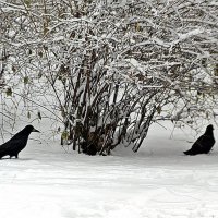 пошли налево... :: Александр Корчемный