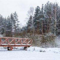 Январское настроение :: Елена Решетникова