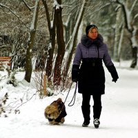 в зимнем парке :: Александр Корчемный