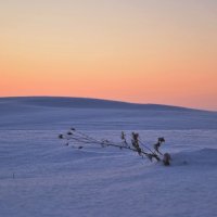 На рассвете. -30. :: Александр Яценко