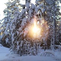 Мороз и солнце :: Anton Lipatov