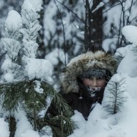 cold woods :: Dmitry Ozersky