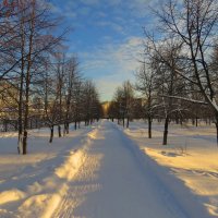 Зимний вечер в парке :: Александр Смирнов