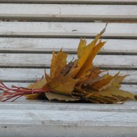 Осень в Никольском сквере :: Евгения Горбунова