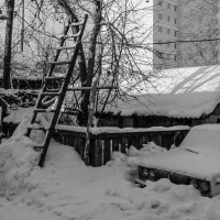 Зима :: Михаил Кузнецов