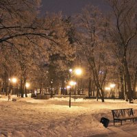 Зима в городе :: Андрей Хомяков