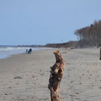 Результат расставания. :: Андрей Королев 