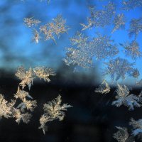 на зимнем окне :: Евгений Воронков 