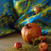 improvisation with fruit :: alexandr lin