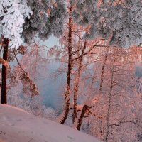 Зима! В твоем плену не только лес и поле, и я ослеплена застывшею красой. :: Галина 