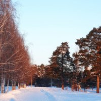 Дорога в лес :: Александр Подгорный