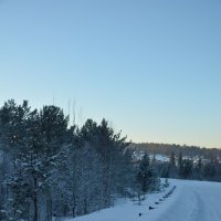 рождественская прогулка :: татьяна малышева