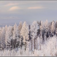 Благодать :: Андрей Арафалов